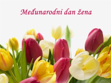 Tulipani povodom Međunarodnog dana žena